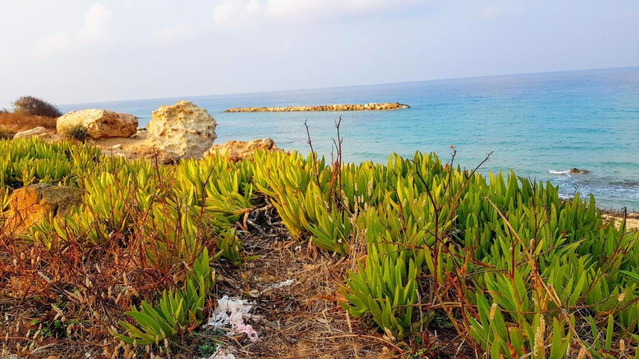 Dahan Sirena Lighthouse Luxury Apartment Paphos Exterior foto